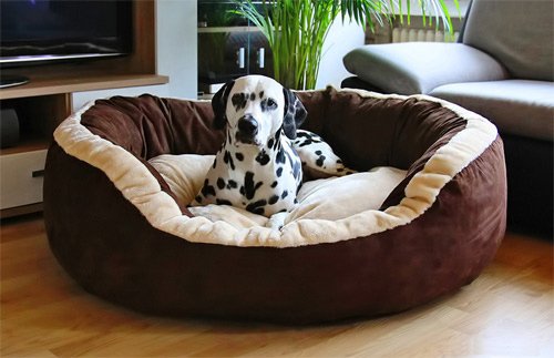 Kuscheliges Hundebett braun
